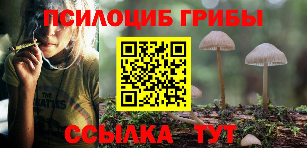 Галлюциногенные грибы прущие грибы Киров