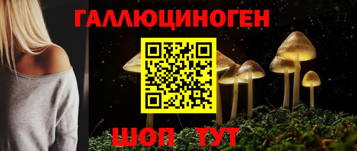 Киров  Галлюциногенные грибы Psilocybe  где найти наркотики  Галлюциногенные грибы ЛСД  Вход с VPN 